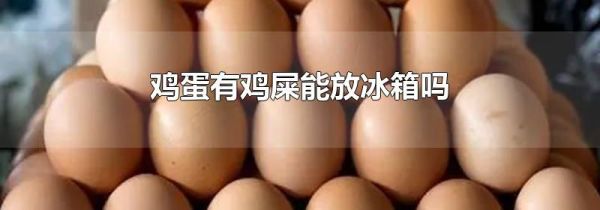 鸡蛋有鸡屎能放冰箱吗