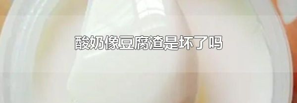 酸奶像豆腐渣是坏了吗