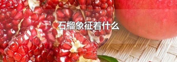 石榴象征着什么
