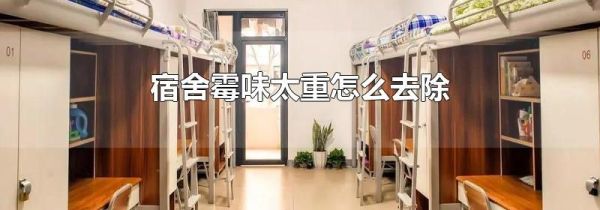 宿舍霉味太重怎么去除