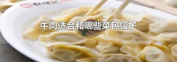 牛肉适合和哪些菜包饺子