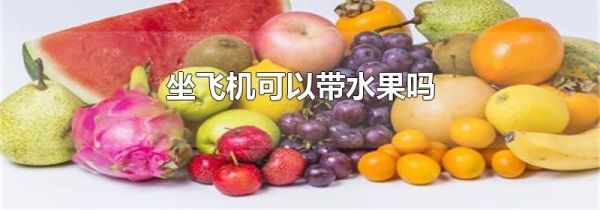 坐飞机可以带水果吗