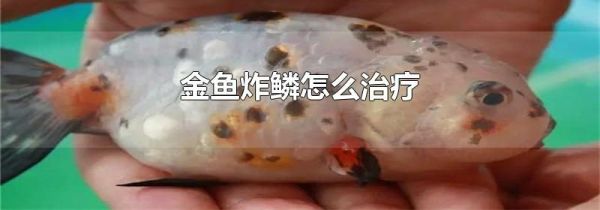 金鱼炸鳞怎么治疗