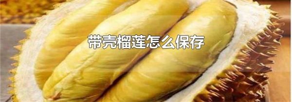 带壳榴莲怎么保存
