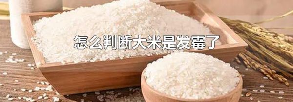 怎么判断大米是发霉了