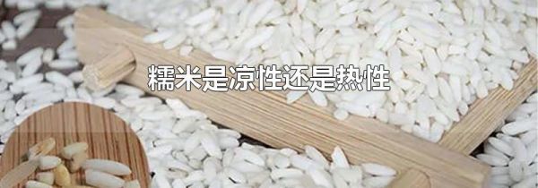 糯米是凉性还是热性