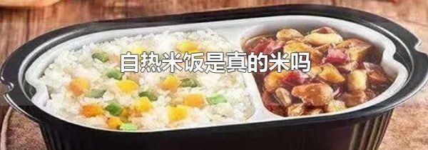 自热米饭是真的米吗