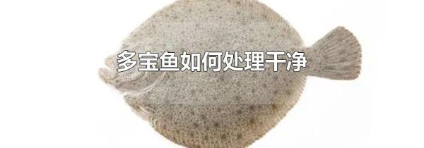 多宝鱼如何处理干净