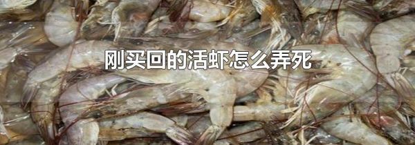 刚买回的活虾怎么弄死
