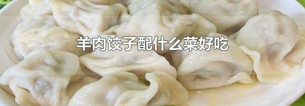 羊肉饺子配什么菜好吃
