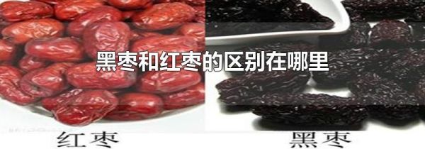 黑枣和红枣的区别在哪里