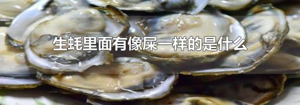 生蚝里面有像屎一样的是什么