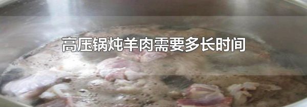 高压锅炖羊肉需要多长时间