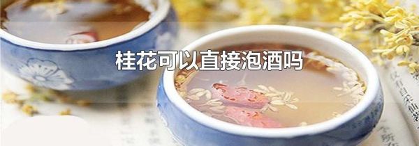 桂花可以直接泡酒吗