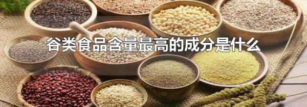 谷类食品含量最高的成分是什么