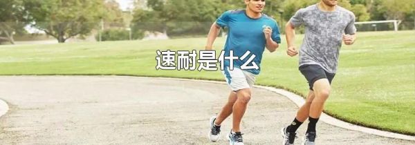 速耐是什么