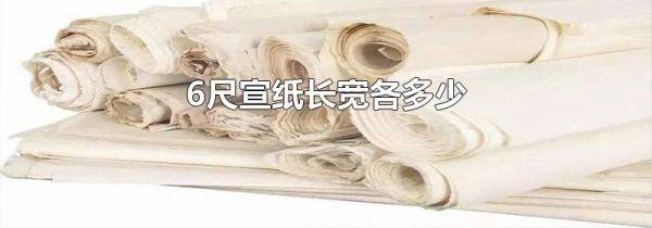6尺宣纸长宽各多少