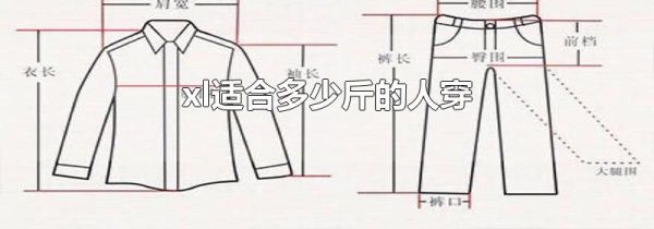 xl适合多少斤的人穿