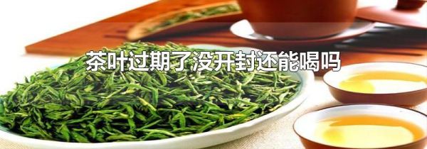 茶叶过期了没开封还能喝吗