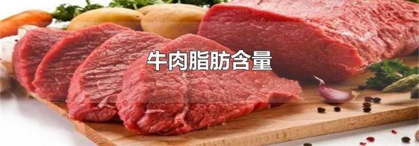 牛肉脂肪含量