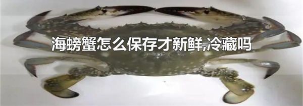 海螃蟹怎么保存才新鲜,冷藏吗