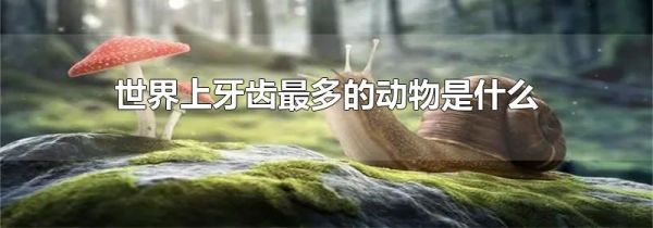 世界上牙齿最多的动物是什么