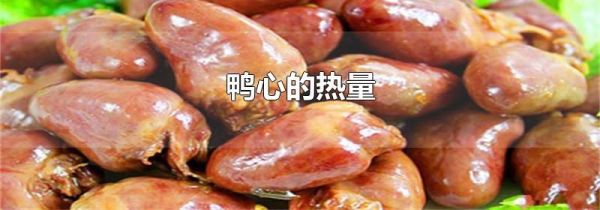 鸭心的热量