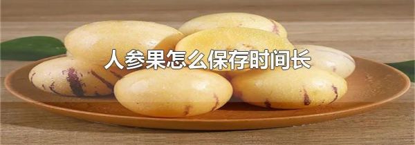 人参果怎么保存时间长