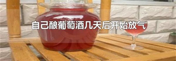 自己酿葡萄酒几天后开始放气