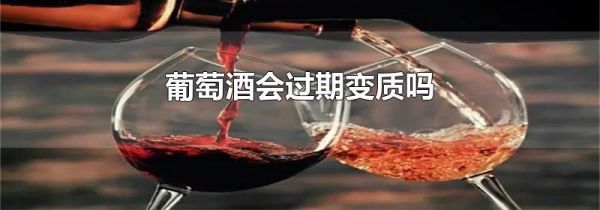 葡萄酒会过期变质吗