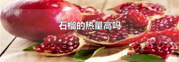 石榴的热量高吗