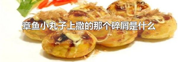 章鱼小丸子上撒的那个碎屑是什么