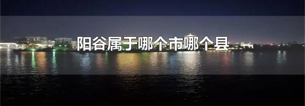 阳谷属于哪个市哪个县
