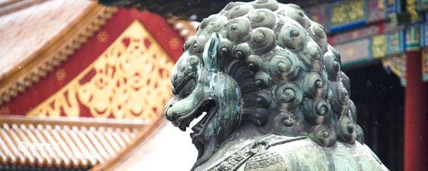 故宫石狮子为何烫卷发 故宫石狮子为何卷发