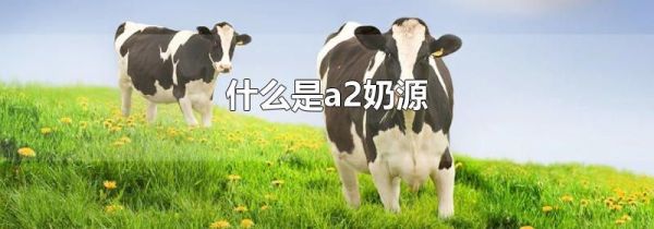 什么是a2奶源
