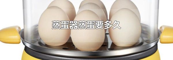 蒸蛋器蒸蛋要多久