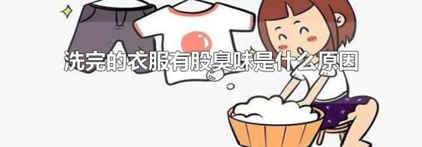 洗完的衣服有股臭味是什么原因