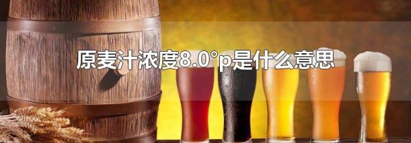 原麦汁浓度8.0°p是什么意思