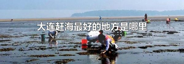 大连赶海最好的地方是哪里