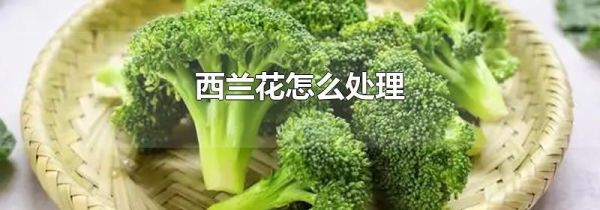 西兰花怎么处理