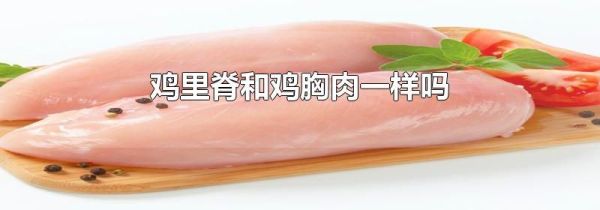 鸡里脊和鸡胸肉一样吗