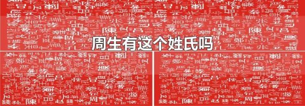周生有这个姓氏吗