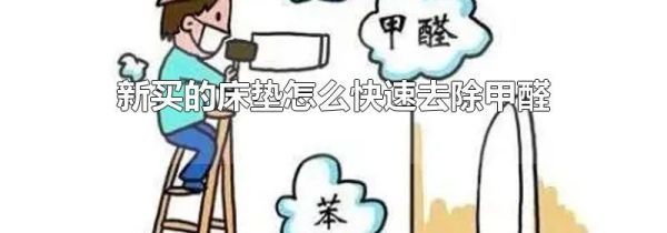 新买的床垫怎么快速去除甲醛