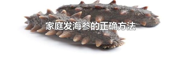 家庭发海参的正确方法
