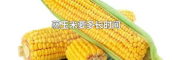 蒸玉米要多长时间