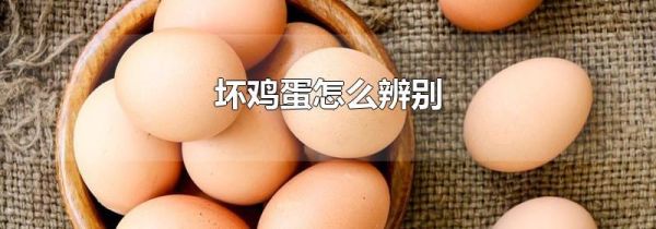 坏鸡蛋怎么辨别