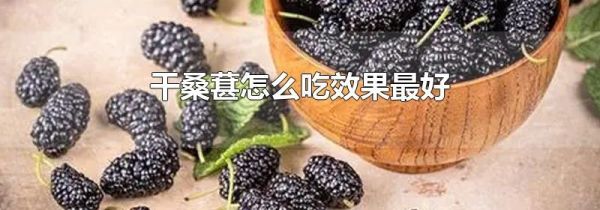 干桑葚怎么吃效果最好