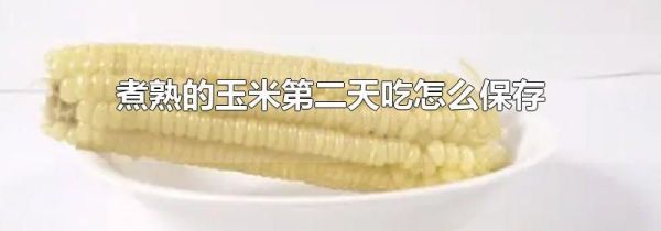 煮熟的玉米第二天吃怎么保存