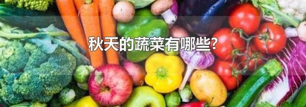 秋天的蔬菜有哪些?