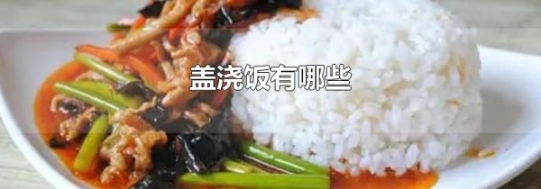 盖浇饭有哪些